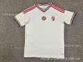 2026 hungary away kit [fan edition]