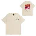 922 Apricot