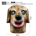 Dog head