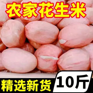 Shandong 2025 Fresh Large Peanuts Without Shells, Farm-Grown, Sun-Dried, Large Peanut Kernels Wholesale