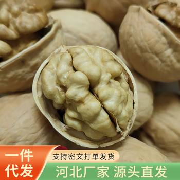 Xinjiang Paper-Skinned Walnuts Original Color 25-Year-Old New Walnuts Wholesale Large Particles Unbleached Aksu 185 Thin-Skinned Walnuts