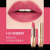New Impression Lipstick That Is Not Easy to Fade, High-Gloss Matte, Various Color Numbers, Lipstick That Locks Color and Is Not Easy to Stain, Lipstick Delivery
