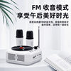 Factory direct retro vinyl record player Bluetooth speaker K song CD player mini small stereo radio small gifts