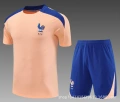 2627 french pink