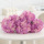 Моделирование 3D-печати Aisha hydrangea home living room model украшение комнаты искусственным букетом искусственных цветов mini 11