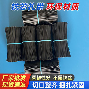 Factory supply iron core tie plastic wire tie wire black oval plastic tie wire plastic tie wire