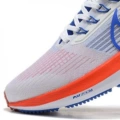 39th generation white blue red