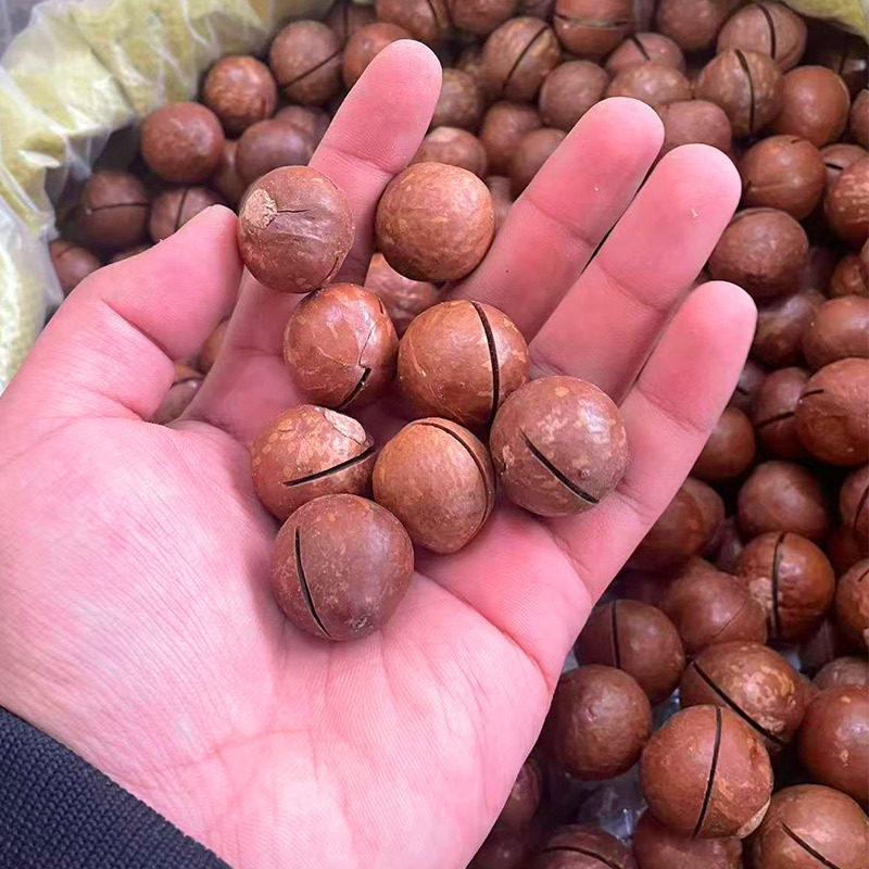 Macadamia Nut Cream Flavored Walnut Thin-Skinned Summer Fruit New Year's Nut Snacks Milky Macadamia Nuts