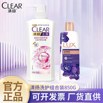 Qingyang Anti-Dandruff Shampoo, Fluffy Shampoo, Long-Lasting Fragrance Shampoo, Oil Control Shampoo for Men and Women, 500g