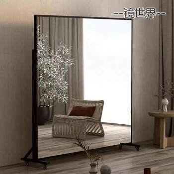 Full-Body Floor Mirror, Movable Dance Mirror, Gym Yoga Room Large Mirror, Home Dance Mirror with Wheels, Stainless Steel