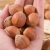 Hazelnuts, a Specialty of Northeast China, Fresh Wild Roasted and Cooked, Large Open-Shell Nuts, Original Flavor, No Additives, Roasted Nuts and Dried Fruit Snacks