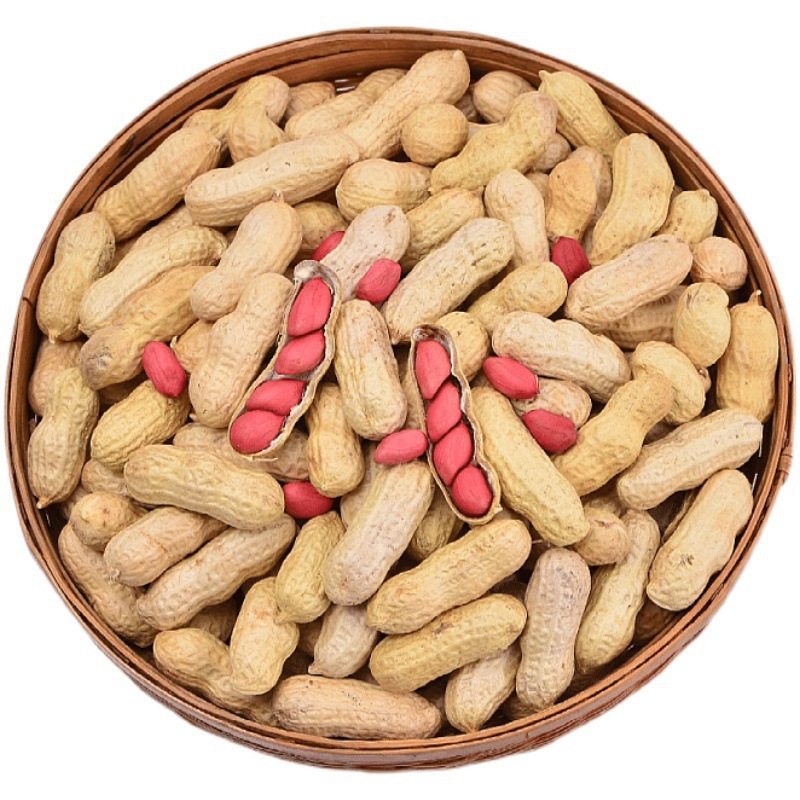 2024 Freshly Dug and Sun-Dried Four Red Shelled Raw Peanuts, Red-Skinned Peanuts, Original Flavor, Fried and Cooked, Farm-Produced