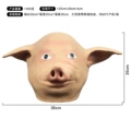 Pig head