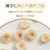Hazelnut kernel large particles baked original raw and cooked hazelnut nuts 500g postage pregnant women snacks dried fruit Zhen Zi bulk