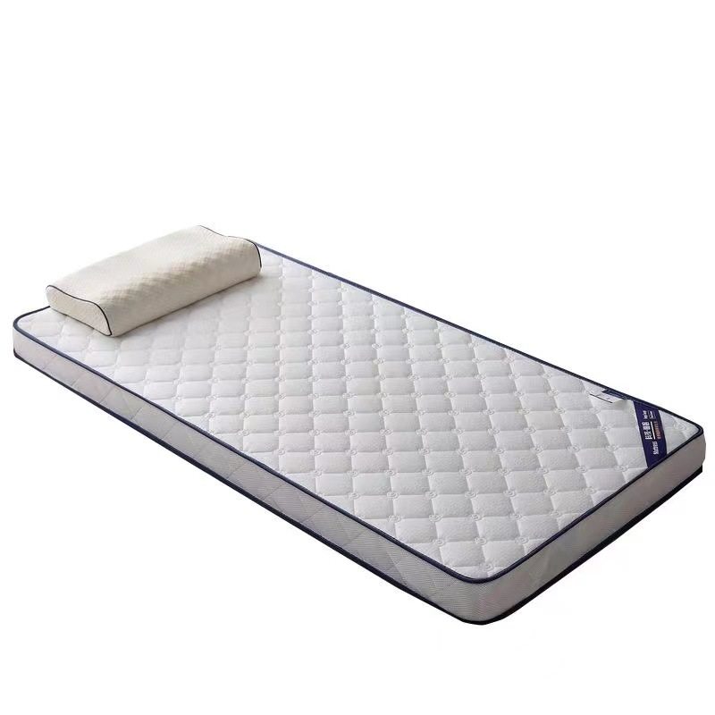 Wholesale Dormitory Mattresses, Student Dormitory Mattresses, Single Bed Mattresses, Mattresses, Special Floor Sleeping Mats for Rent