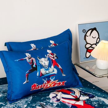 Cross-border e-commerce cartoon student pillowcase sanding pillowcase one foreign trade wholesale single adult pillowcase two