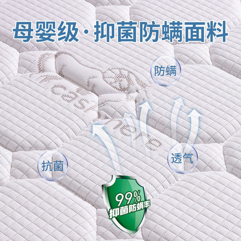 Glue-Free Coconut Palm Mattress, Hard Waist and Spine Protection Latex Mattress, Household Thickeneded Antibacterial and Anti-Mite Bedroom Folding Mattress