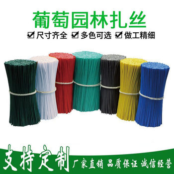 Colorful Coated Wire for Tying Grapes, Electro-Galvanized Iron Wire for Gardening, Tying Branches, Crafts, and Lamp Ties