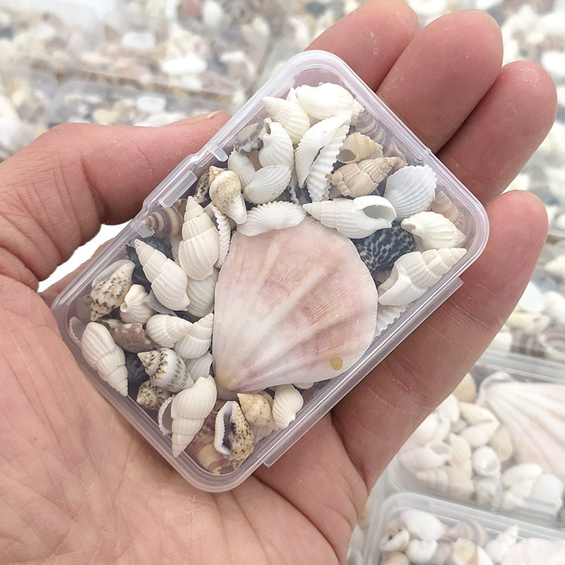 Boxed Natural Shell Small Conch Small Starfish Mixed Material Bag Handmade DIY Jewelry Aromatherapy Candle Wax Pieces