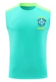 25 brazilian sky blue