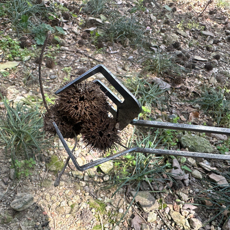 Nail Clamp Iron Nail Clamp Rake Iron Nail Clamp Rake Generation Hand Rake Hand Nail Clamp Iron Clamp Coal Clamp Chestnut Clamp