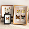 Hollow photo frame decoration handmade diy real butterfly a4 insect notebook box three-dimensional frame display frame picture frame depth