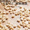 Pine Nuts Cooked 2023 New Arrival Northeast Pine Nuts Raw Commercial Nutritional Crispy Wholesale