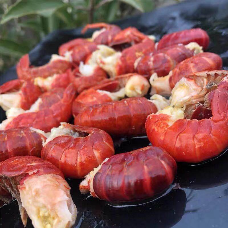 Frozen Live Lobster Tails with Shells, No Ice Coating, Quick-Frozen Shrimp Tails, First-Grade Shrimp Balls, Crayfish, Commercial-Grade Raw Large Shrimp, Prawns