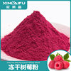 Factory wholesale freeze-dried raspberry powder baking dessert color mixing powder milk tea ice cream adding raw materials freeze-dried fruit powder