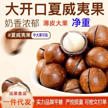 Hawaiian fruit cream flavor large fruit thin skin nut snacks 500g generation walnut fruit hand peel Hawaiian fruit