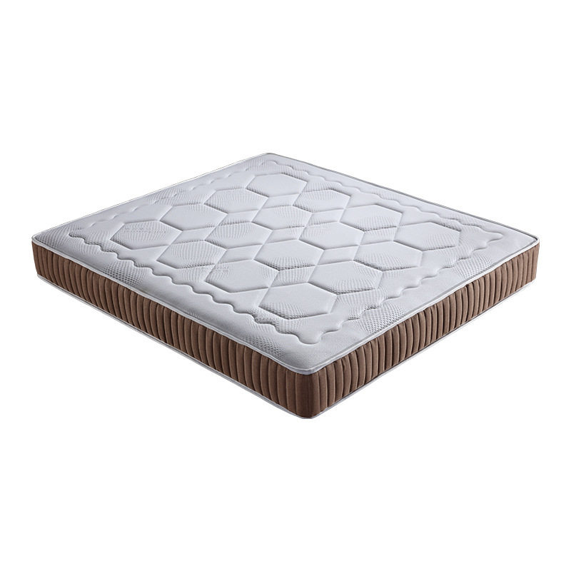 Ice Silk Winter and Summer Dual-Purpose Mattress, Soft and Hard, Can Be Used on Both Sides, Simmons 22cm Spring Mattress, Home Rental, Customizable