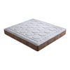 Ice Silk Winter and Summer Dual-Purpose Mattress, Soft and Hard, Can Be Used on Both Sides, Simmons 22cm Spring Mattress, Home Rental, Customizable