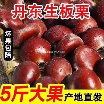 Freshly Picked Dandong Chestnuts 2.5kg Oil Chestnut Kernels Vegetable Luotian Non-Qianxi Chestnut Cone Hair Removal Ball 1