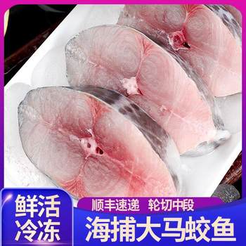 Freshly Frozen and Cut Mackerel Segments, Fresh Quick-Frozen Mackerel Middle Segments, Sea-Caught Mackerel Seafood Wholesale