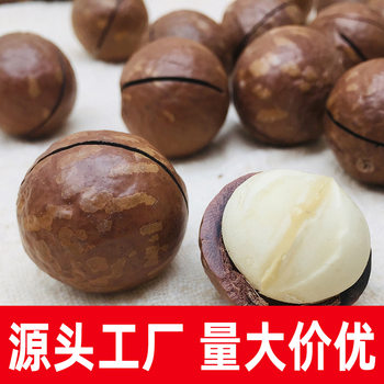 Hawaii Fruit Factory Direct Supply Original Cream flavor Hawaii Macadamia nuts bulk snacks dried fruit wholesale