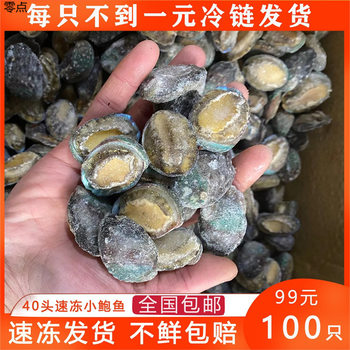 Fresh Abalone, Live Frozen Seafood, Aquatic Shellfish, Free Shipping, Free Shipping, One Piece, Free Shipping, Factory Direct Sales, Cross-Border Amazon