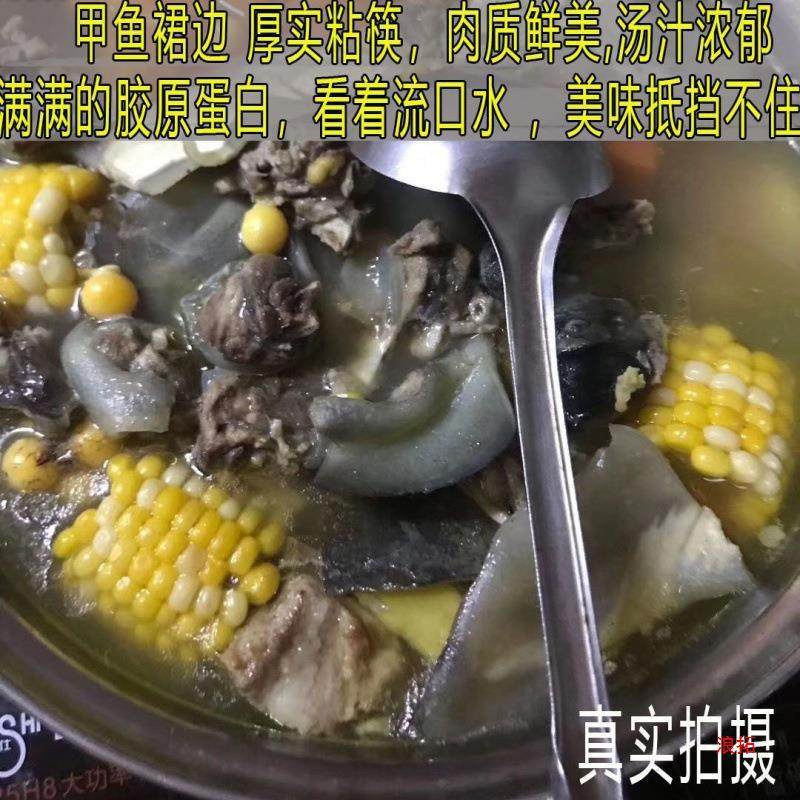 Fresh Live Turtle Wholesale, Free Shipping for Fresh Male Turtles, Edible Fresh Braised Turtles, Chinese Turtle, Water Turtle, Cross-Border Shipping