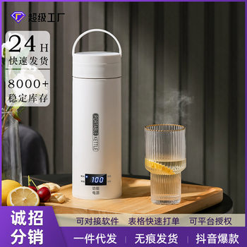 Tiktok Electric Hot Water Cup, Tmall and Taobao Dropshipping, 24-Hour Fast Delivery, First-Class Energy-Efficiency Hot Water Kettle