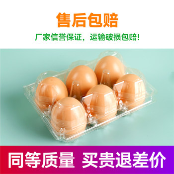 ✅ 6-Piece Plastic Egg Tray, Disposable Transparent Egg Tray, 6-Pack for Free-Range Eggs, Packaging Box, Shockproof and Anti-Vibration