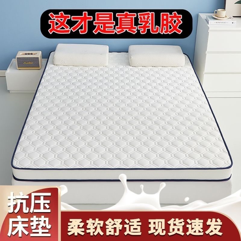 Thickened Latex Mattress Household Summer Foldable Cool Silk Student Dormitory Single and Double Mattress Floor Mat