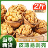 Paper-skin walnut thin-skin walnut black walnut hand-peeled pecans nuts snacks plump fruit
