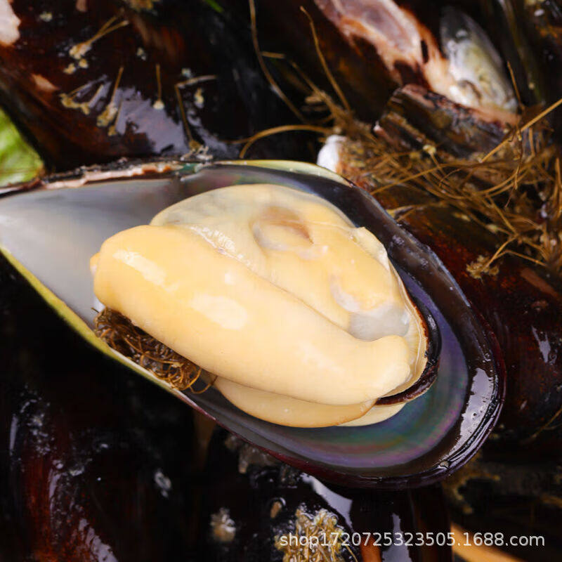 Half-Shelled Mussels, Quick-Frozen Blue Mussels, Green-Lipped Mussels, Sea Rainbow Frozen Shellfish, Fresh Half-Shelled Mussels