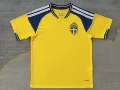 2026 sweden home kit