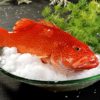 Fresh Frozen Red Snapper from Dongshan Island, Fujian, Direct Source Seafood