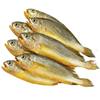 [Active] Wild Small Yellow Croaker, Fresh Sea-Caught Frozen Large and Small Yellow Croaker, Deep-Sea Fish, Fresh Seafood and Aquatic Products