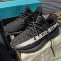 Black and gray stripes