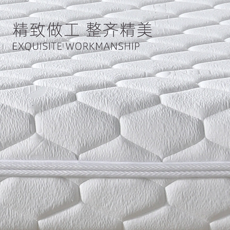 Amazon Cross-border Compression Roll High Rebound Memory Foam Mattress Customized Soft Comfortable Hotel 30cm Mattress