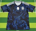 2627a argentina away with shield