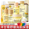 Yuweisha Chamomile Soothing Moisturizing Skin Care Set Facial Care Combination Water Cream Cleansing Mask Sleep