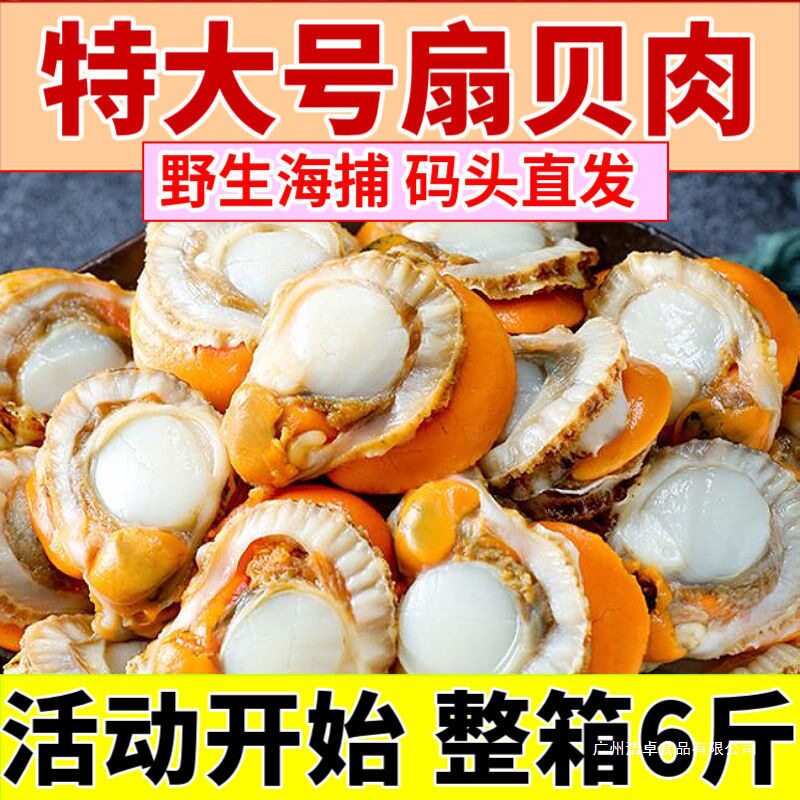[Free Shipping] Freshly Peeled Large Scallop Meat, Fresh Frozen Wild Scallops, Whole Scallops, Garlic Scallops, Guaranteed Safe